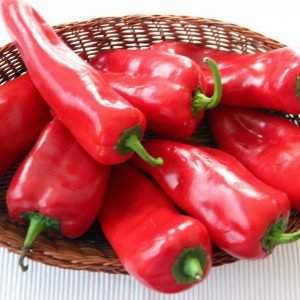 biber kapya 1556x1037