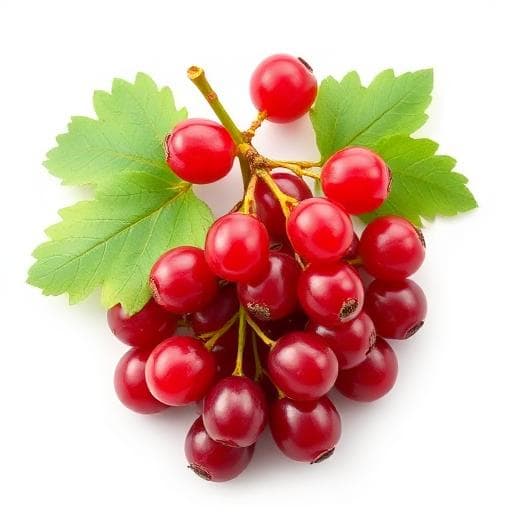 Redcurrants