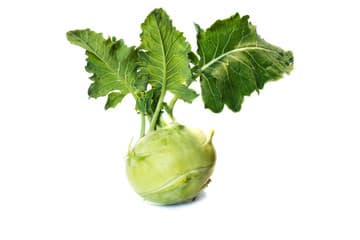 Kohlrabi