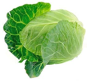 Pointed Cabbage