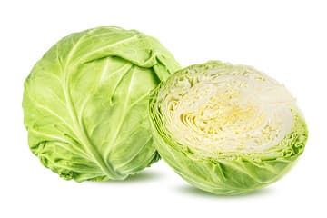 White Cabbage