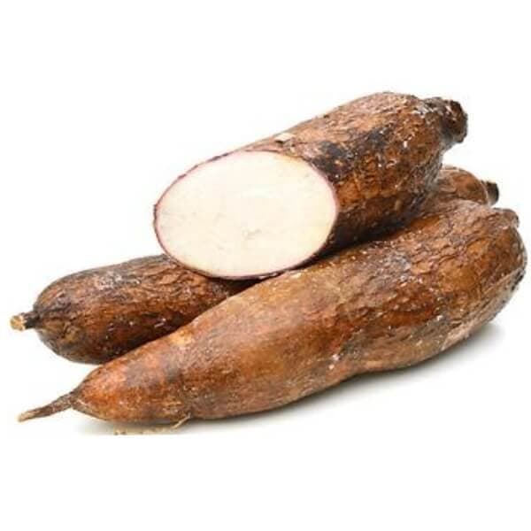 Cassava (Yuca)