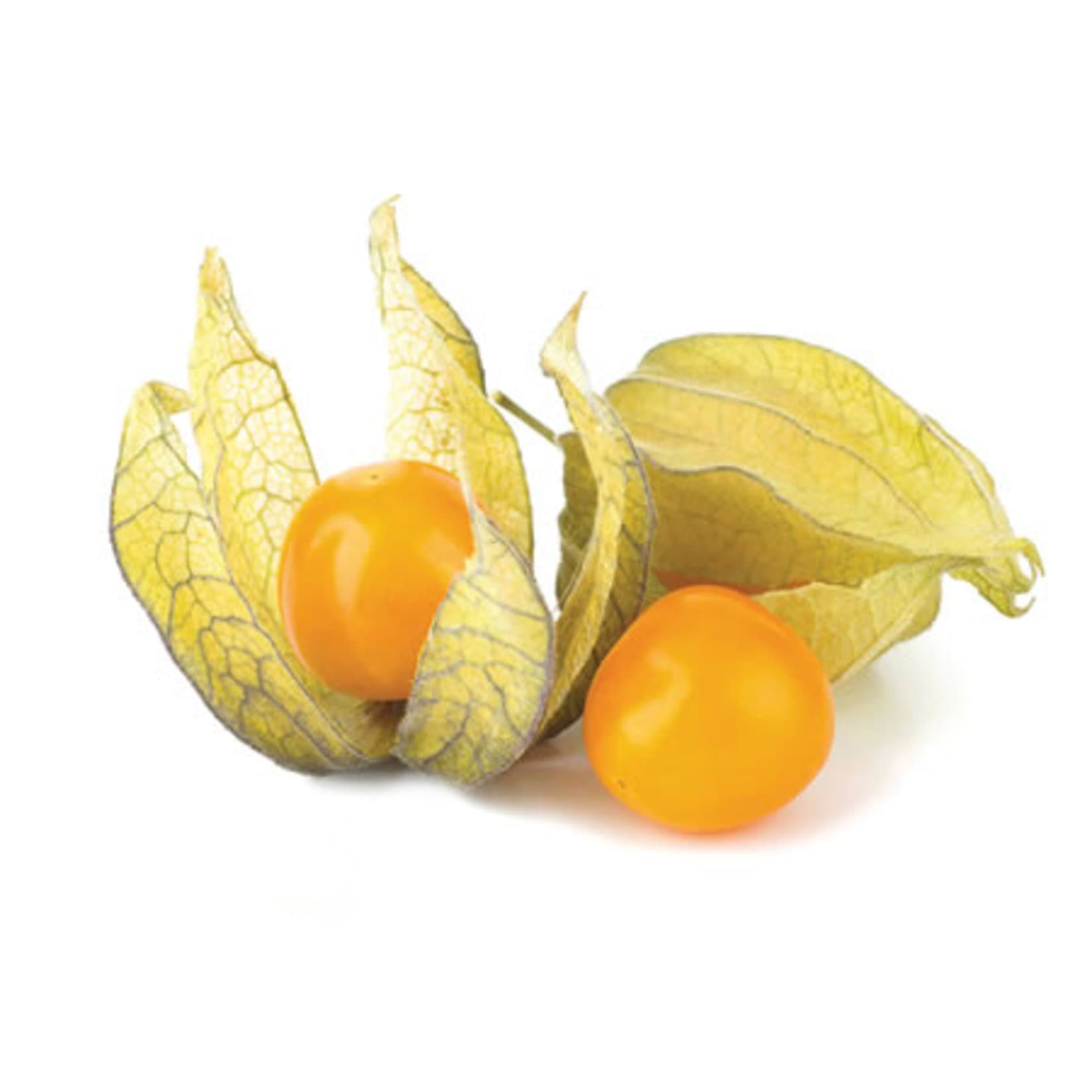 Golden Berry