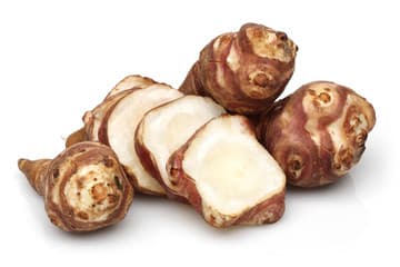 Jerusalem Artichoke