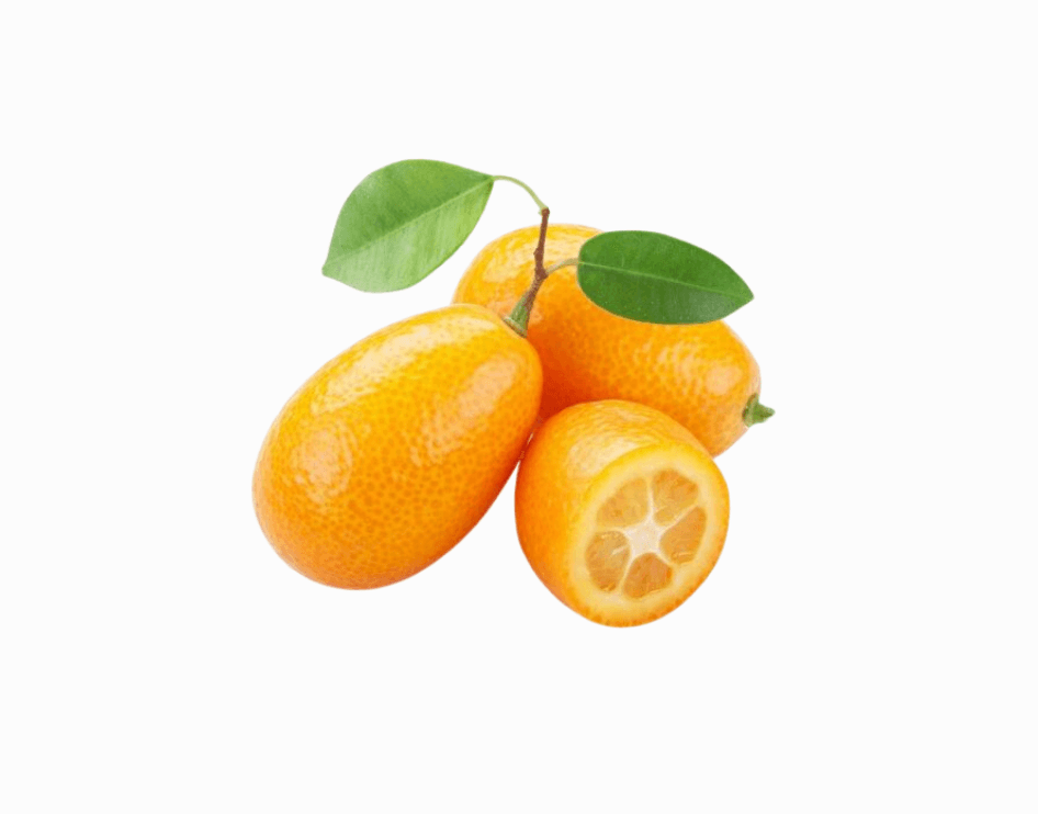 Kumquat