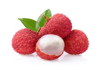 Lychee