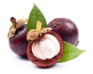 Mangosteen