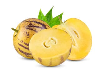 Pepino Melon