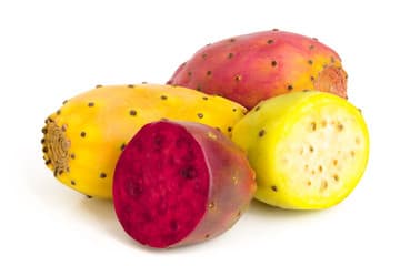 Prickly Pear