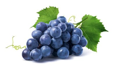 Blue Grapes