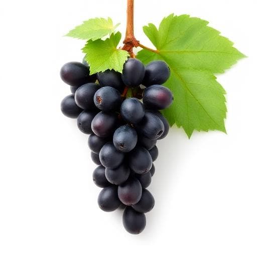 Black Grapes