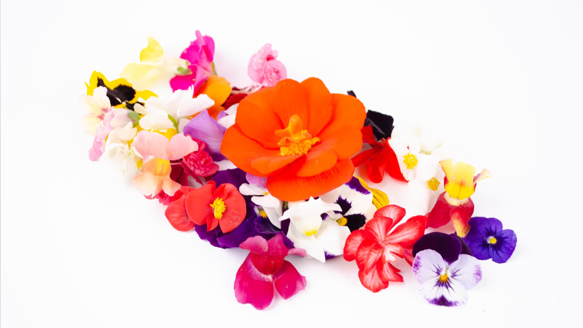 Edible Flower Mix
