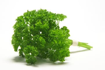 Curly Parsley