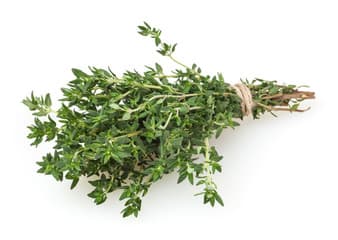 Thyme