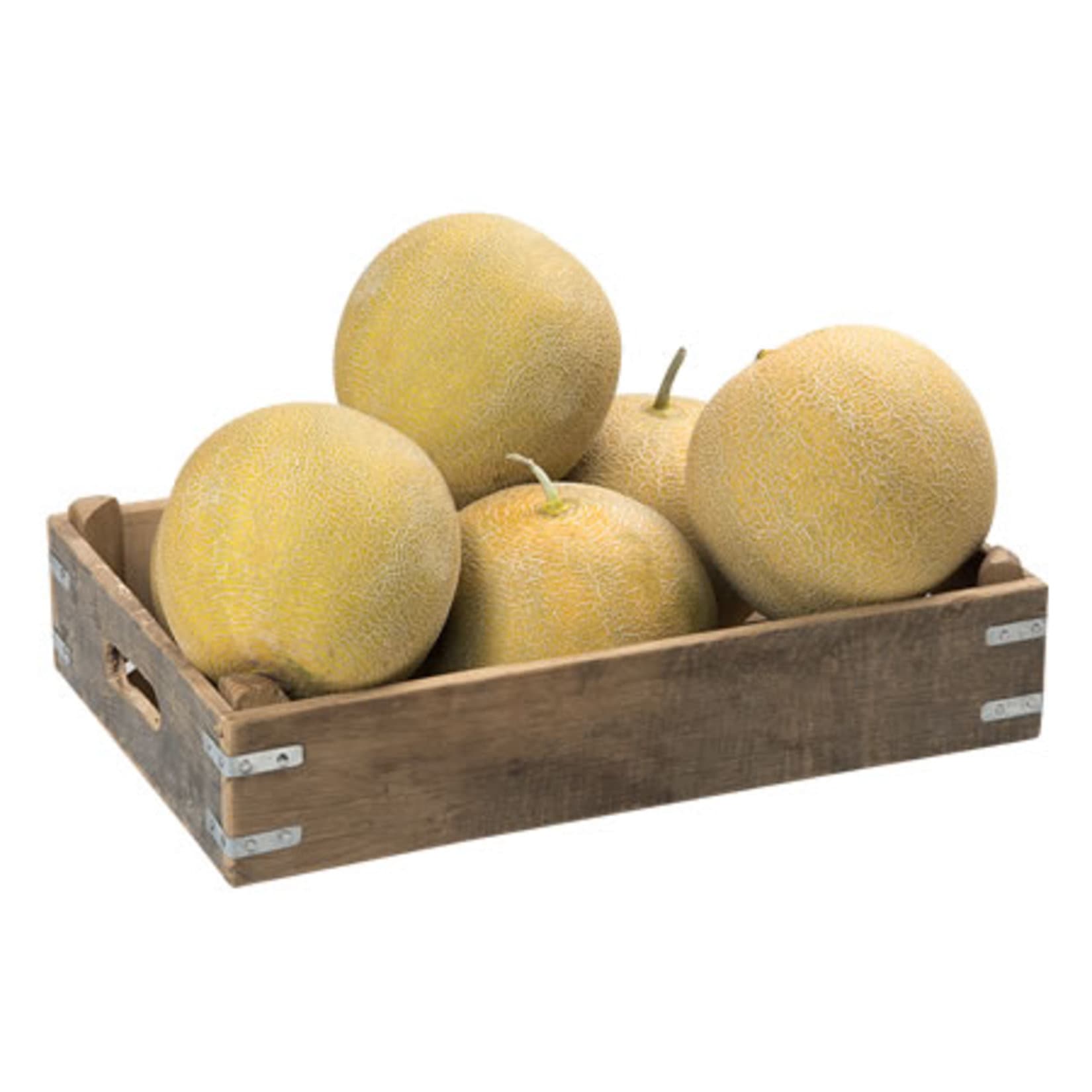 Greenhouse Melon