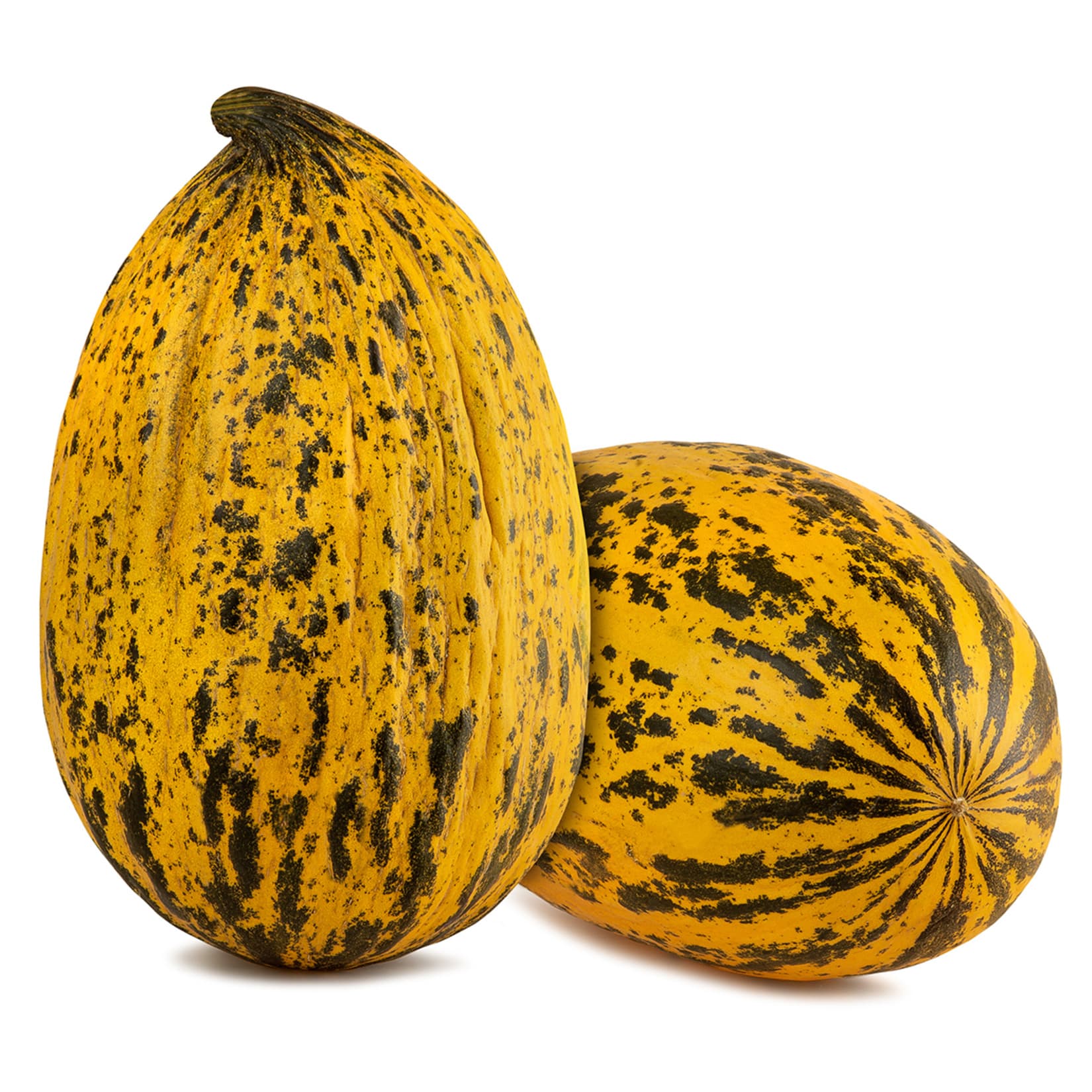 Kırkağaç Melon