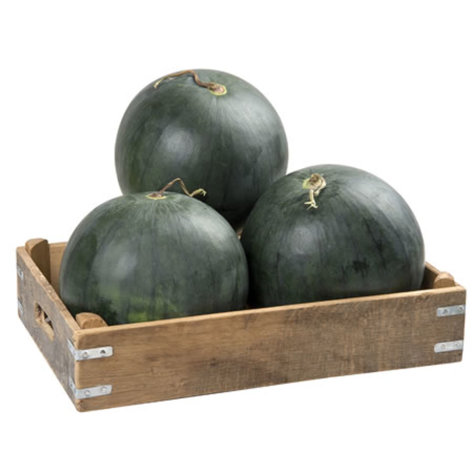 Seedless Watermelon