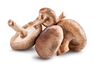 Shiitake Mantarı