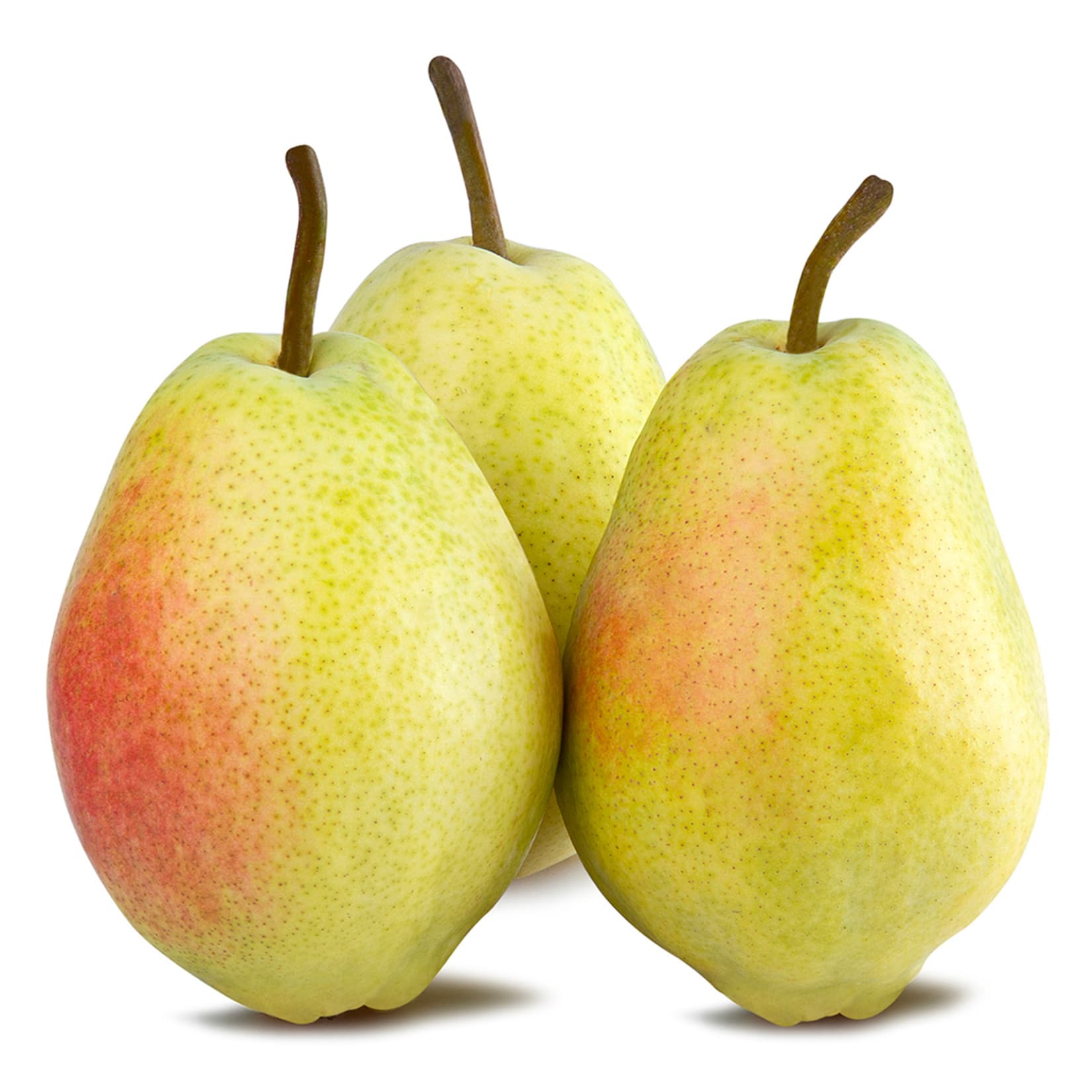 Santa Maria Pear
