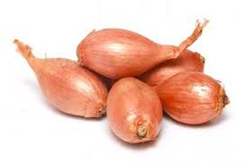 Shallots
