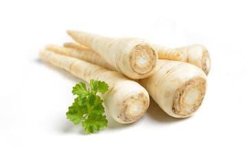 Parsley Root