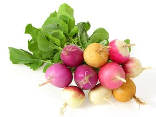 Colourful Radish Mix