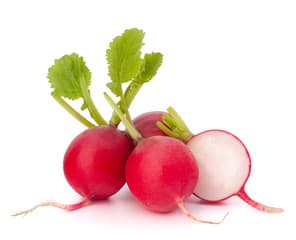 Radish