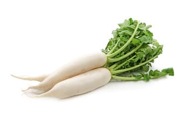 White Radish (Daikon)