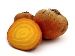 Yellow Beetroot