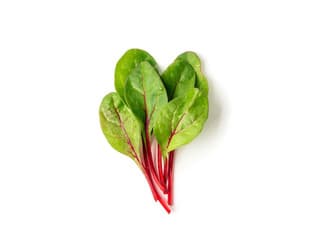 Mini Chard