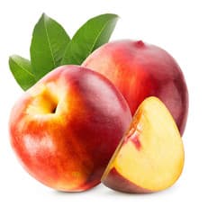 Nectarines