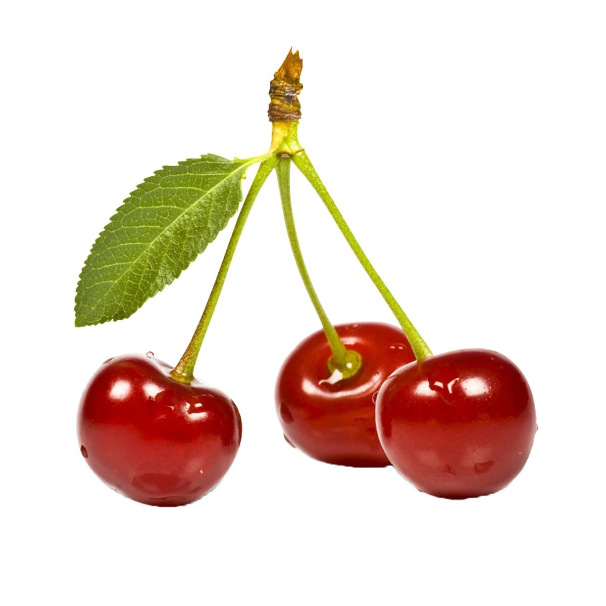 Sour Cherries