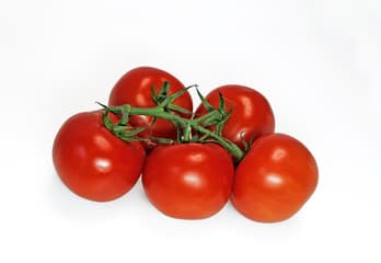 Vine Tomatoes