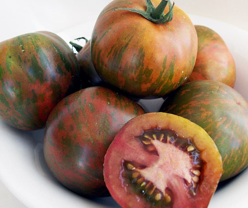 Zebra Tomatoes