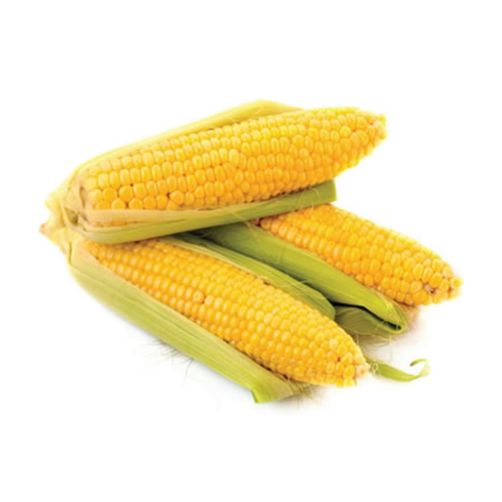 Corn