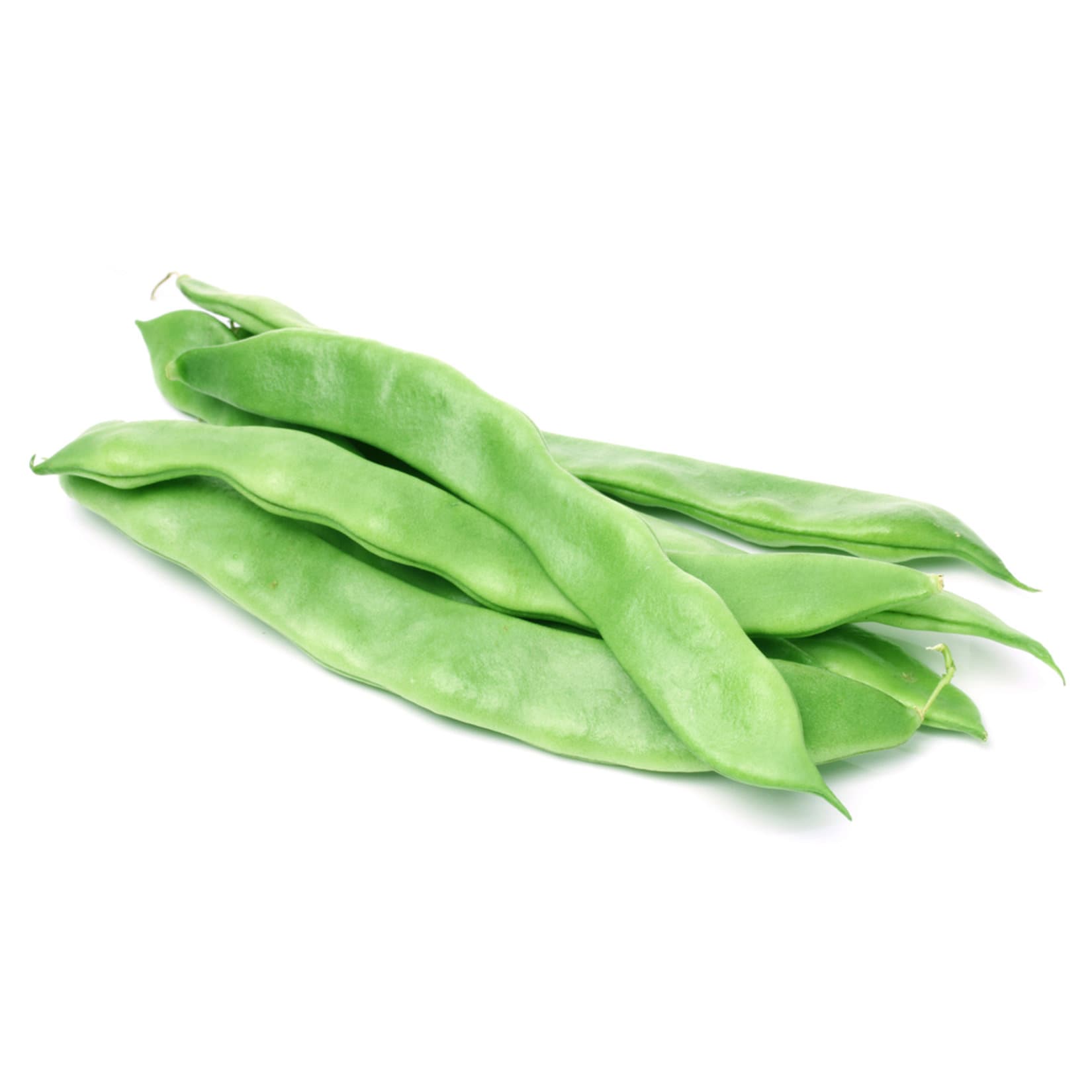 Ayşe Kadın Beans