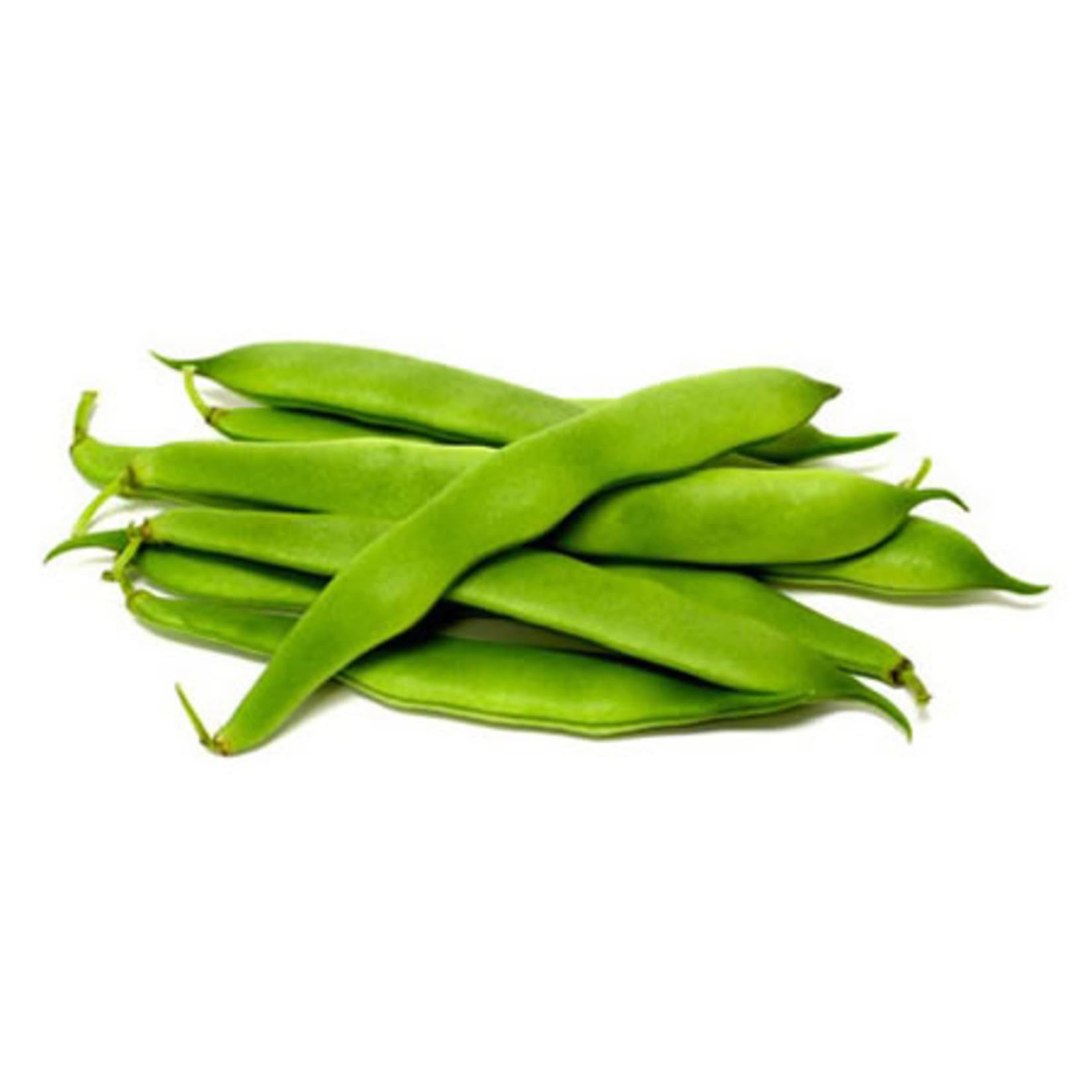 Bush Beans
